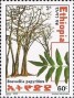 植物:非洲:埃塞俄比亚:et200202.jpg