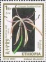 植物:非洲:埃塞俄比亚:et200303.jpg