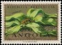 植物:非洲:安哥拉:ao195903.jpg