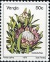 植物:非洲:文达:vd197915.jpg