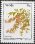 植物:非洲:文达:vd198405.jpg