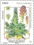 植物:非洲:法属南部和南极领地:taaf202101.jpg