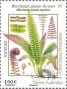 植物:非洲:法属南部和南极领地:taaf202103.jpg