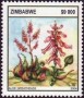 植物:非洲:津巴布韦:zw200403.jpg
