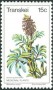 植物:非洲:特兰斯凯:tki197703.jpg