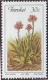 植物:非洲:特兰斯凯:tki198604.jpg