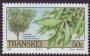 植物:非洲:特兰斯凯:tki198904.jpg