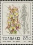 植物:非洲:特兰斯凯:tki199204.jpg