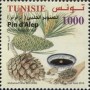 植物:非洲:突尼斯:tn201603.jpg