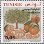 植物:非洲:突尼斯:tn201701.jpg