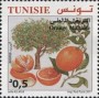 植物:非洲:突尼斯:tn201703.jpg