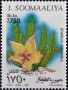 植物:非洲:索马里:so199506.jpg
