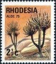 植物:非洲:罗得西亚:rh197501.jpg