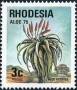 植物:非洲:罗得西亚:rh197502.jpg