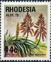 植物:非洲:罗得西亚:rh197505.jpg