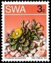 植物:非洲:西南非洲:swa197303.jpg