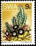植物:非洲:西南非洲:swa197308.jpg