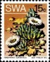 植物:非洲:西南非洲:swa197311.jpg