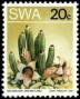 植物:非洲:西南非洲:swa197312.jpg