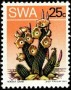 植物:非洲:西南非洲:swa197313.jpg