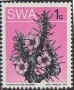 植物:非洲:西南非洲:swa197317.jpg