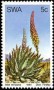 植物:非洲:西南非洲:swa198101.jpg
