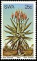 植物:非洲:西南非洲:swa198104.jpg