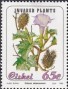 植物:非洲:西斯凯:cik199302.jpg