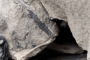 欧洲和北美洲:加拿大:乔金斯化石悬崖:20180528-144217.png