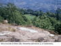 欧洲和北美洲:意大利:瓦尔卡莫尼卡的岩画:20180625-121247.png