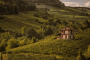 欧洲和北美洲:意大利:皮埃蒙特的葡萄园景观_朗格罗埃洛和蒙菲拉托:20180625-133511.png