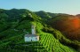欧洲和北美洲:意大利:科内利亚诺和瓦尔多比亚德尼的普罗塞克起泡酒山区:image2.jpg