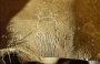 欧洲和北美洲:法国:阿尔代什省的肖维-蓬达尔克洞穴:20180627-163447.png
