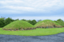 欧洲和北美洲:爱尔兰:博因河曲考古集合体:20180621-233849.png
