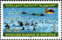 阿拉伯国家:毛里塔尼亚:阿尔金海滩国家公园:20180608-072837.png