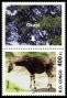 非洲:刚果民主共和国:俄卡皮鹿野生动物保护地:20180528-010037.png