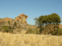 非洲:南非:马蓬古布韦文化景观:20180514-233809.png