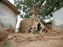 非洲:埃塞俄比亚:历史要塞城市哈勒尔:20180528-093557.png