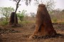 非洲:布基纳法索:布基纳法索的古冶铁遗址:image2.jpg