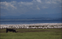 非洲:肯尼亚:肯尼亚东非大裂谷的湖泊系统:20180505-092319.png