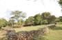 非洲:肯尼亚:西穆里奇-欧辛加考古遗址:site_1450_0004-500-332-20180223160537.jpg