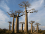 非洲:马达加斯加:黥基_德_贝马拉哈自然保护区:20180529-234745.png
