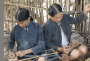 非遗:亚洲和太平洋地区:中国:黎族传统纺染织绣技艺:20180711-160258.png