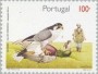 非遗:欧洲和北美洲:葡萄牙:鹰猎_有生命力的人类文化遗产:pt199403.jpg