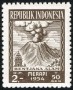 风光:亚洲:印度尼西亚:id195406.jpg