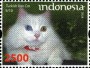 风光:亚洲:印度尼西亚:id200844.jpg