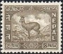 风光:亚洲:尼泊尔:np195905.jpg