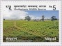 风光:亚洲:尼泊尔:np201505.jpg