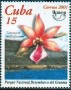 风光:北美洲:古巴:cu200101.jpg