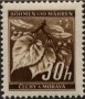 风光:欧洲:波希米亚和摩拉维亚保护国:csbm194105.jpg